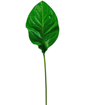 Kunstblad groen 90cm
