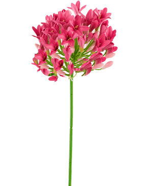 Kunstbloem Agapanthus 77 cm roze