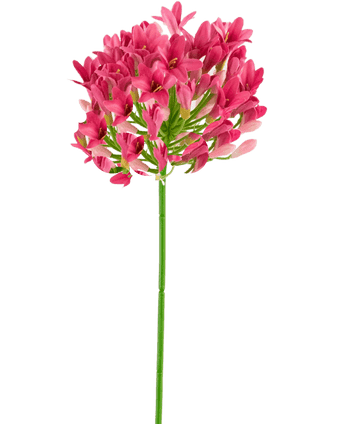 Kunstbloem Agapanthus 77 cm roze