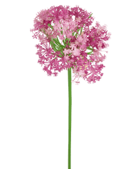 Kunstbloem Allium 60 cm paars