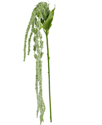 Kunstbloem Amaranthus 124 cm groen