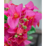 Een close-up van de Kunstbloem Bougainvillea 90 cm paars toont levendige paarse kunstbloemen met groene knoppen tegen een zacht onscherpe achtergrond.
