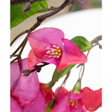 Close-up van Kunstbloem Bougainvillea 90 cm paars, met levendige paarse kunstbloemen met gele meeldraden en groene bladeren op een tak met bruine textuur, tegen een onscherpe witte achtergrond.