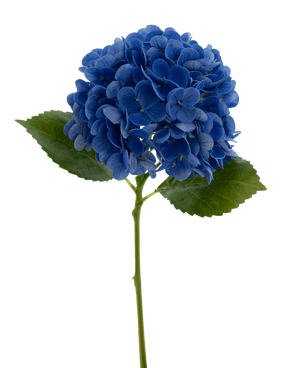 Kunstbloem Charlotte hortensia Real Touch Blauw 49 cm