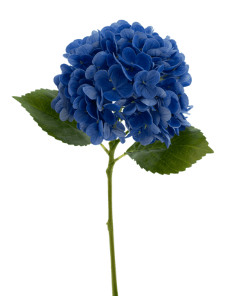 Kunstbloem Charlotte hortensia Real Touch Blauw 49 cm