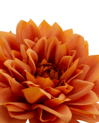Kunstbloem Dahlia Real Touch oranje 54 cm