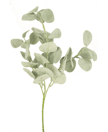 Kunstbloem Eucalyptus rond 68 cm