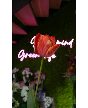 Kunstbloem Franse Tulp 60 cm rood