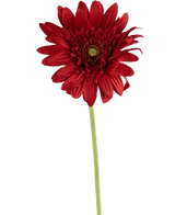 Kunstbloem Gerbera 53 cm rood