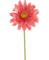 Kunstbloem Gerbera 55 cm roze