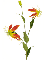 Kunstbloem Gloriosa 81 cm rood/geel