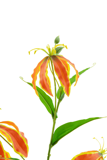 Kunstbloem Gloriosa Real Touch Oranje 75 cm