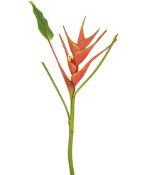 Kunstbloem Heliconia 90 cm rood