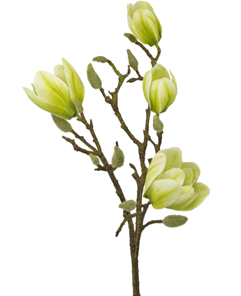 Kunstbloem Magnolia 50 cm wit/groen