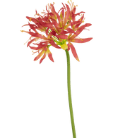 Kunstbloem Nerine 70 cm fuchsia