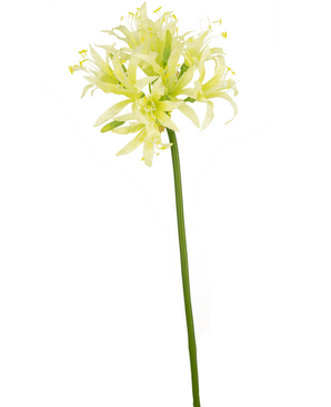 Kunstbloem Nerine 70 cm groen