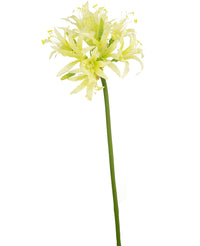 Kunstbloem Nerine 70 cm groen