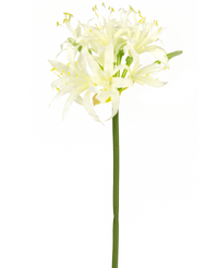 Kunstbloem Nerine 70 cm wit