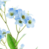 Een close-up van de Kunstbloem Orchidee Real Touch Blauw 50 cm, met delicate lichtblauwe orchideeën met een geelgroen hart en groene bladeren tegen een effen witte achtergrond.