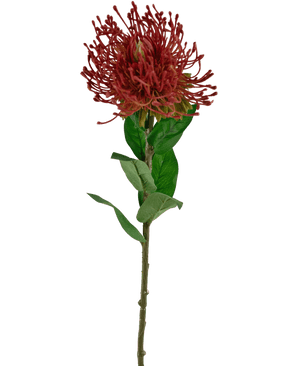 Kunstbloem Protea 73 cm rood