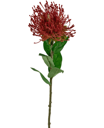 Kunstbloem Protea 73 cm rood