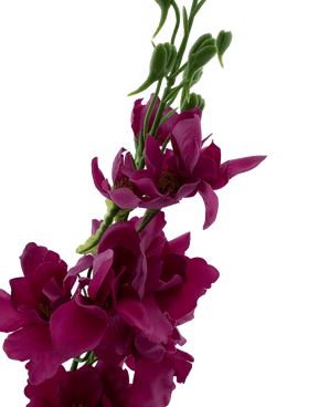 Kunstbloem Ridderspoor Real Touch roze 90 cm