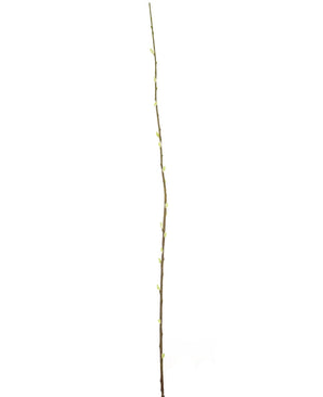 Kunstbloem Salix willow 150 cm