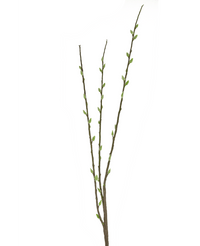 Kunstbloem Salix willow 70 cm