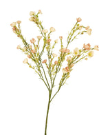 Kunstbloem Waxflower 85 cm roze