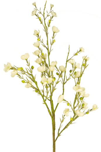 Kunstbloem Wild Waxflower 85 cm crème