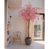De Kunstboom Kersenbloesem roze 240 cm met roze bloesems staat bij een raam in een lichte, moderne kamer. Een houten stoel staat vlakbij, met links boekenplanken en zonlicht dat door de transparante gordijnen naar binnen schijnt.