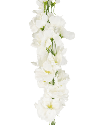 Kunstdelphinium Real Touch Wit 90cm