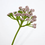Een close-up van de Kunstgras Prei Bloem Uien Graspot 90cm brandvertragend toont een groene steel met trosjes kleine, lichtroze bloemen tegen een effen witte achtergrond.