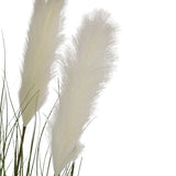 De Kunstgras stoffen riet-ui graspot 120cm brandvertragend heeft twee hoge, pluizige witte pluimen met slanke groene stelen en bladeren tegen een effen witte achtergrond.