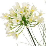 Een close-up van de Kunstgras witte Agapanthus uiengraspot 90cm brandvertragend toont delicate witte bloemen met een geel hart op lange groene stelen, omringd door piekerige bladeren, tegen een effen witte achtergrond.
