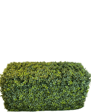 Kunsthaag Buxus Roman Style 90 x 35 x 50 cm