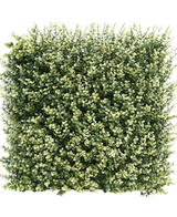 Kunsthaag Buxus beige 50x50 cm UV