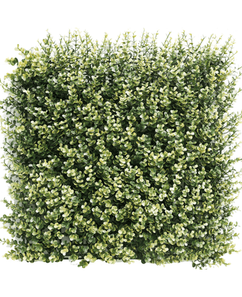 Kunsthaag Buxus beige 50x50 cm UV