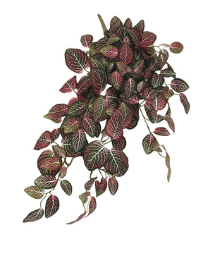 Kunsthangplant Fittonia Rood en wit 70 cm