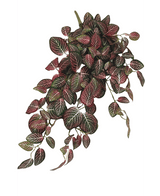 Kunsthangplant Fittonia Rood en wit 70 cm