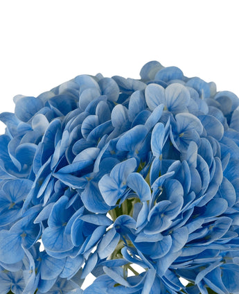 Kunsthortensia "Annabelle" Real Touch Blauw 55cm