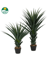 De Kunstplant Agava Pandora 85 cm UV heeft twee kunstmatige agave planten in zwarte potten met lange, puntige groene bladeren op een witte achtergrond. In de linkerbovenhoek staat een groen UV-beschermingssymbool.