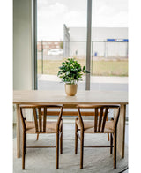 Twee houten stoelen en een houten tafel staan binnen met een Kunstplant Baby Schefflera 45 cm als middelpunt. Grote ramen tonen gebouwen en een hek buiten, terwijl een rond tapijt onder de tafel en stoelen ligt.