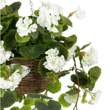 De Kunst begonia Wit in Mand UV 70cm heeft weelderige groene bladeren en witte bloemen in een hangende gevlochten mand, opgehangen aan een metalen ketting tegen een witte achtergrond.