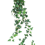 De Kunst hangplant Klimop Boston is een 120 cm lange groene klimplant met glanzende klimopbladeren, perfect om groen toe te voegen tegen een witte achtergrond.