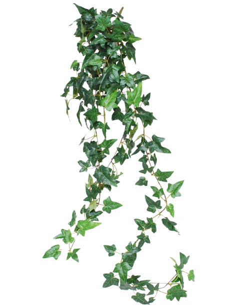 De Kunst hangplant Klimop Boston is een 120 cm lange groene klimplant met glanzende klimopbladeren, perfect om groen toe te voegen tegen een witte achtergrond.
