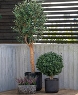 De Kunstplant Buxus op stam romeinse stijl 65cm staat hoog met zijn slanke stam op de patio, vergezeld door een ronde bossige plant in een zwarte pot en een lage plantenbak met kleine paarse bloemen, tegen een moderne achtergrond van hout en beton.