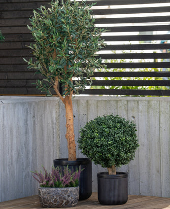 De Kunstplant Buxus op stam romeinse stijl 65cm staat hoog met zijn slanke stam op de patio, vergezeld door een ronde bossige plant in een zwarte pot en een lage plantenbak met kleine paarse bloemen, tegen een moderne achtergrond van hout en beton.