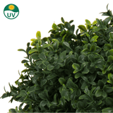 Een close-up van dicht groen gebladerte van de Kunstplant Buxus op stam romeinse stijl UV 65cm, met lichtere uiteinden; een cirkelvormig UV-beschermingspictogram is zichtbaar in de linkerbovenhoek.