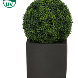 De Kunstplant Buxus romeinse stijl UV D40cm is een ronde kunstvorm met dichte groene bladeren in een vierkante zwarte plantenbak. In de linkerbovenhoek staat een UV-beschermingssymbool met een zon en "UV" tekst.